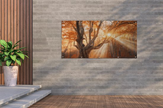 Jardin - Poster jardin - Arbre - Automne - Feuilles - 200x100 cm - Tableau jardin - Toile jardin - Poster extérieur