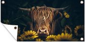 Tuinposter - Schotse hooglander - Bloemen - Dieren - Tuin - Koe - 200x100 cm - Schuttingposter - Tuindecoratie - Tuindoek - Buitenposter