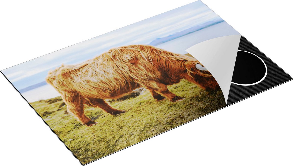 Chefcare Inductie Beschermer Schotse Hooglander Koe graast Gras aan het Water - 80x52 cm - Afdekplaat Inductie - Kookplaat Beschermer - Inductie Mat