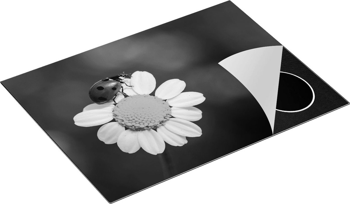 Chefcare Inductie Beschermer Lieveheersbeestje op een Madeliefje - Zwart Wit - 70x50 cm - Afdekplaat Inductie - Kookplaat Beschermer - Inductie Mat