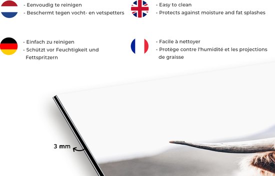 Spatscherm - Schotse Hooglander - Dieren - Koe - Natuur - Spatwand - Muurbeschermer - Achterwand keuken - Keuken - 60x40 cm - Spatscherm keuken