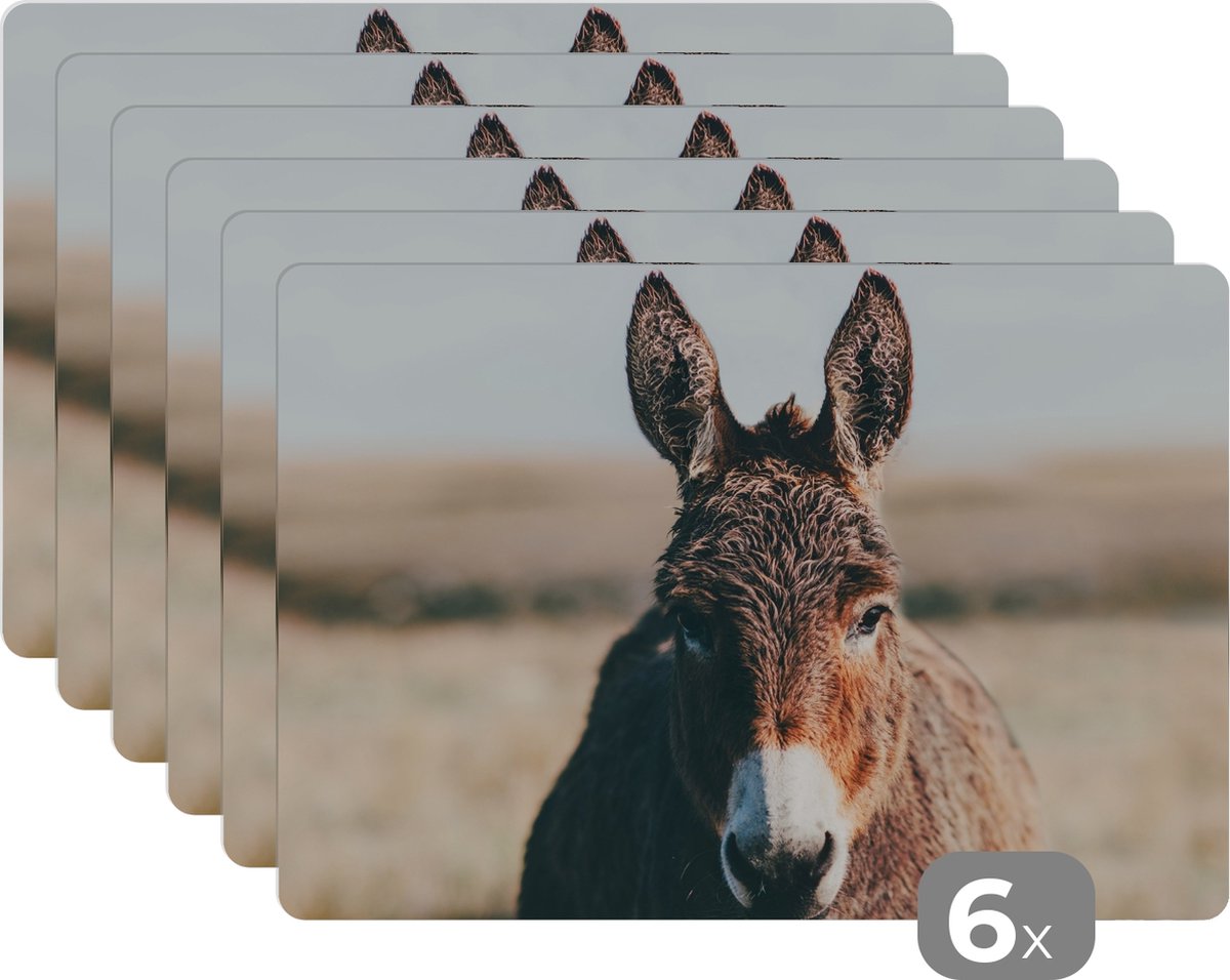 Placemats - Dieren - Ezel - Gras - Portret - Keuken - Onderlegger - 45x30 cm - 6 stuks