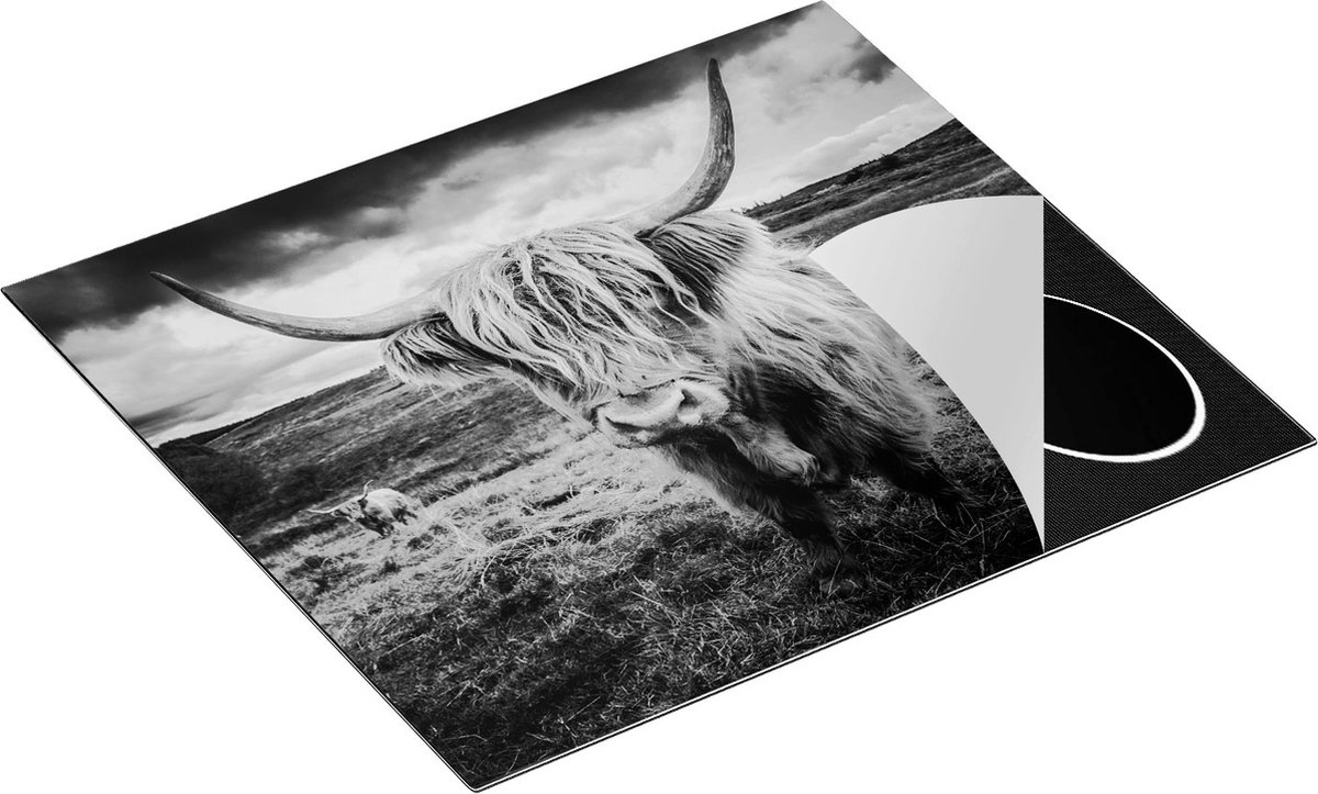 Chefcare Inductie Beschermer Schotse Hooglanders in de Weide met Wolken - Zwart Wit - 57,6x51,6 cm - Afdekplaat Inductie - Kookplaat Beschermer - Inductie Mat