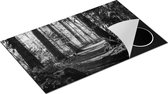 Chefcare Inductie Beschermer Voetpad in het Bos - Zwart Wit - 85x50 cm - Afdekplaat Inductie - Kookplaat Beschermer - Inductie Mat
