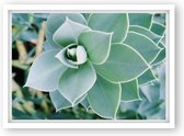 GOLDBUCH GOL-920623 Your Gallery - Time to Relax Succulent - 13x18 cm