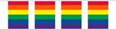 vlaggenlijn regenboog vierkant 10 meter