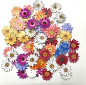 50 Houten knopen in bloemvorm - 25mm - DIY - Chrysanten in diverse kleuren - Bloemen decoratie