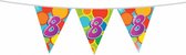 vlaggenlijn multicolor 8 jaar 10 meter