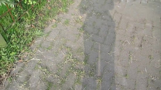 Universele onkruidborstel per 3 - 20CM - max. toerental 10.000 p/m - onkruid verwijderen - onkruidverwijderaar - tuingereedschap - onkruidborstel bosmaaier - opzetstuk - SET