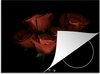 Rozen - Zwarte achtergrond