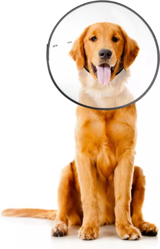 Zenpet E-Clear Plastic E-collar XLarge – Doorzichtige hondenkraag – Beschermkraag hond – Hondenkap na operaties – Plastic – Nekomtrek 31 tot 53cm
