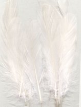 Feathers long 15,5-20cm 15pcs pure white