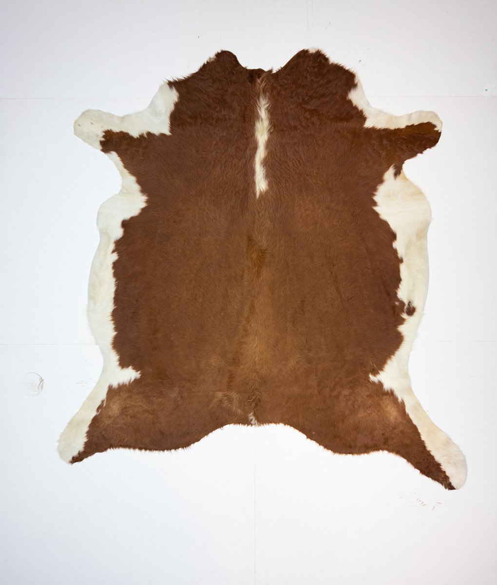 KOELAP Koeienhuid Vloerkleed - Bruinwit Gevlekt Langharig - 195 x 220 cm - 1004616