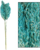 Oneiro’s Luxe Droogbloemen Wild reed plume Vinz nature 75cm 10pc Blue/Green – hotel chique - binnen - accessoires - decoratie – bloemen – mat – glans – industrieel