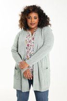 Paprika Dames Lange cardigan - Trui - Maat 52