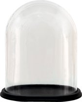 Clayre & Eef Stolp 27*19*30 cm Transparant Hout, Glas Glazen Stolp