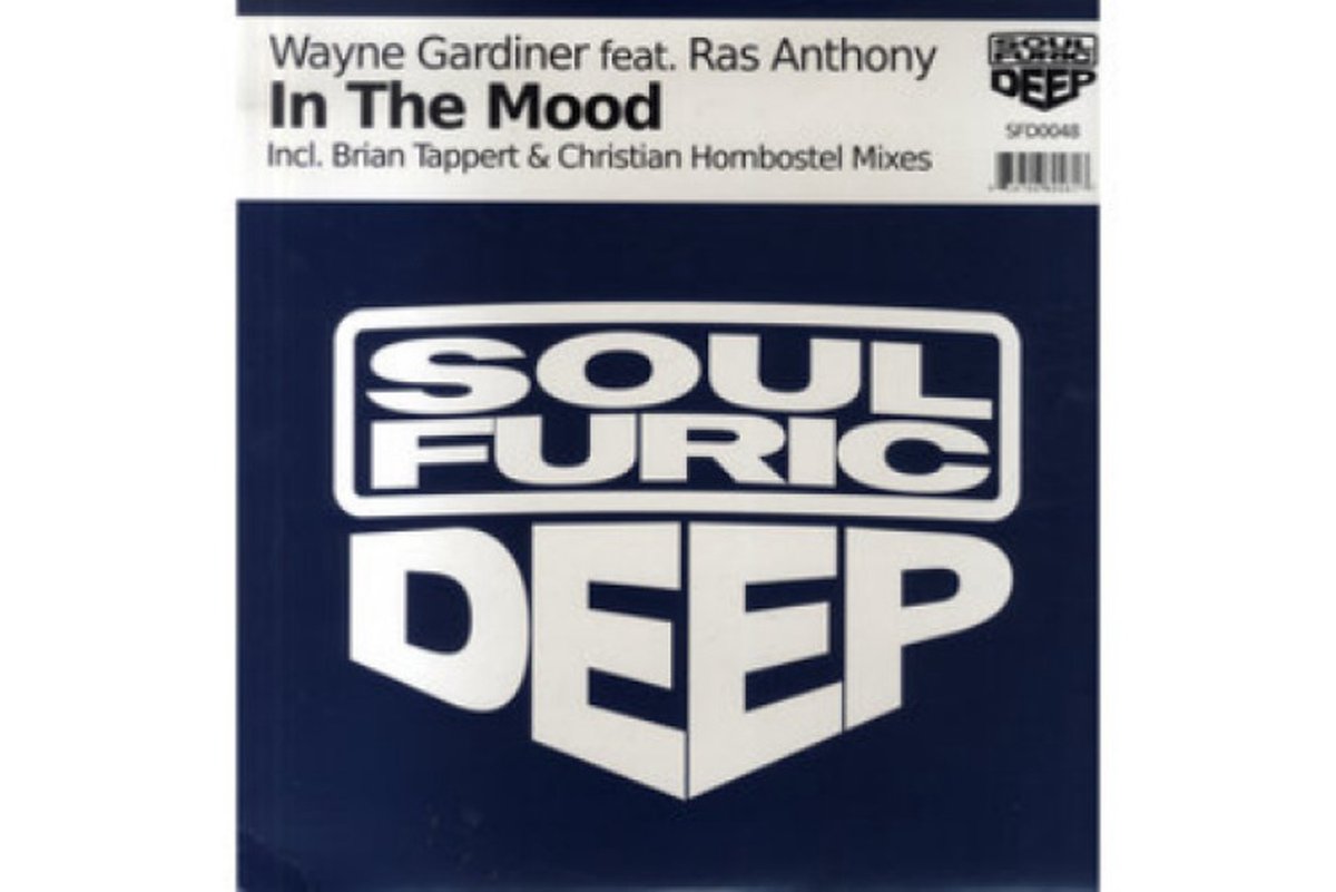 Wayne Gardiner Ft. Ras Anthony - In The Mood