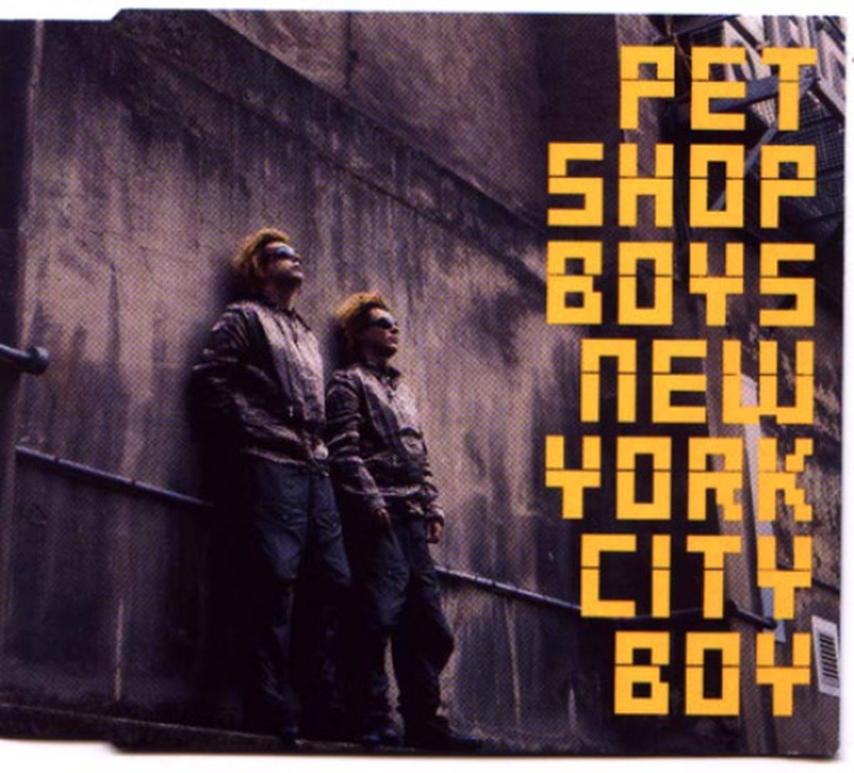 New York City Boy Cardslv
