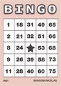 Afbeelding van het spelletje Bingokaarten 1-75 Karton | Roze | 50 stuks