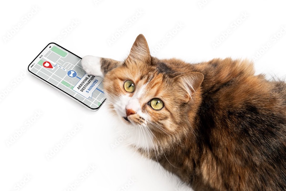 Pets on Demand GPS Tracker voor Kat of Hond Zonder Abonnement en