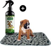Sharon B - puppy training pad - 60 x 40 cm - grijs - botjes print - combideal - incl. urinegeur verwijderaar - ideaal voor zindelijkheidstraining hond