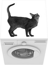 Wasmachine beschermer mat - Een omhoog kijkende Abessijn kat - zwart wit - Breedte 60 cm x hoogte 60 cm