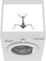 Wasmachine beschermer mat - Mannelijke bidsprinkhaan - zwart wit - Breedte 55 cm x hoogte 45 cm