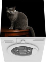 Wasmachine beschermer mat -  een Britse korthaar kat - Breedte 60 cm x hoogte 60 cm