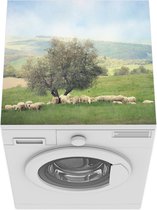 Wasmachine beschermer mat - Een groep schapen bij een olijfboom - Breedte 60 cm x hoogte 60 cm