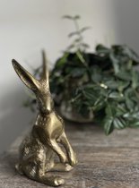 Light & living Gouden paashaas
