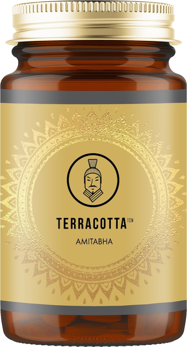 Goedkoopste Terracotta TCM AMITABHA paddenstoelen combi 180 Caps Chaga, Reishi en Poria Cocos Extracten