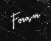 Forever White - NEON Verlichting - Neon Licht - GoodMoodLights - Led verlichting - Sfeerverlichting - Wandlamd - Hanglamp - Neon Lamp - HANGMODEL - Neon Sign