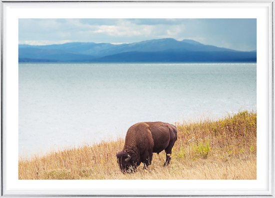 Poster Met Metaal Zilveren Lijst - Wild Yellowstone Poster