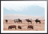 Poster Met Zwarte Lijst - Wrattenzwijnen Wildebeest Poster