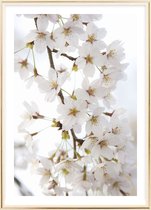 Poster Met Metaal Gouden Lijst - Kersenbloesems Poster