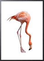 Poster Met Zwarte Lijst - Love Flamingo Poster