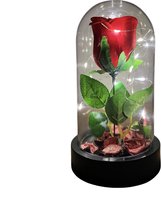 Roos in Glazen Stolp - Luxe Roos in Glas met LED - Cadeau voor vriendin moeder haar - Rozen van Eeuwigheid