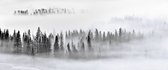Sanders & Sanders fotobehang berglandschap met bomen zwart, wit en grijs - 601013 - 3.6 x 2.7 m