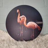 Muurcirkel Flamingo`s  40 cm
