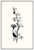Klimop zwart-wit (Ivy) - Foto op Akoestisch paneel - 80 x 120 cm