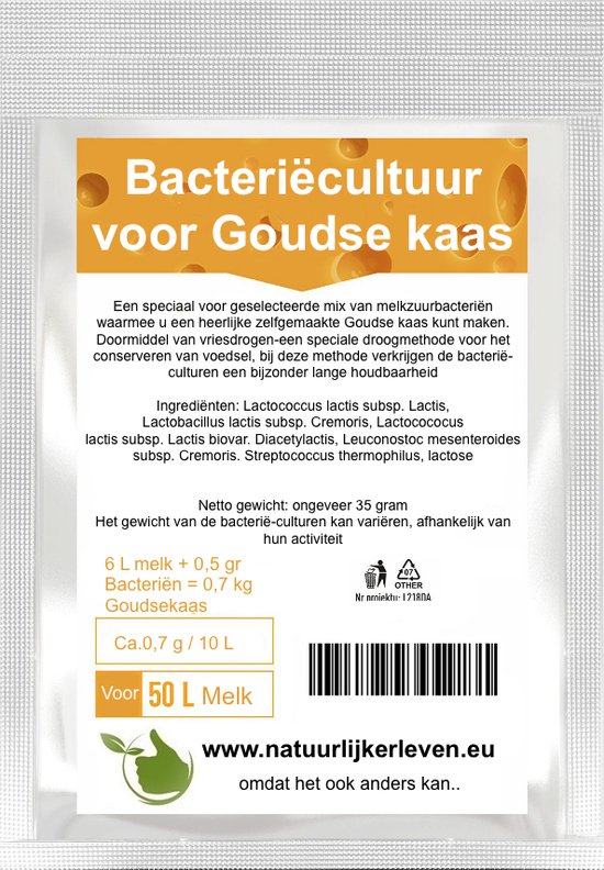 Bacteriecultuur stremsel voor Goudse kaas - Goudse kaas maken - melkzuurbacteriën