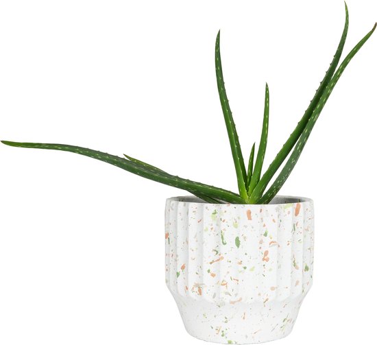 QUVIO Bloempot spikkels - Voor binnen en buiten - Plantenpot - Plantenhouder - Plantenbak - Tuinieren - Balkonbak - Plantenaccessoires - Beton - Rond - Diameter 18 cm - Wit