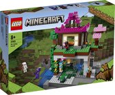 LEGO Minecraft De Trainingsplaats