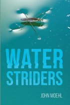 Water Striders