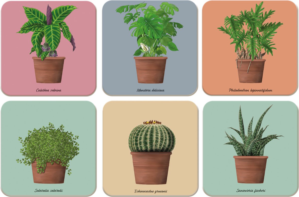 Bekking & Blitz - Onderzetters - 6 stuks - Kunst - Kamerplanten - Houseplants - Kelly van Koppenhagen - Hortus Botanicus Amsterdam