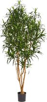 Dracaena Anita Tree - kunstplant