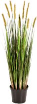 Grass Foxtail - kunstplant
