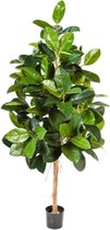 Ficus Elastica - kunstplant