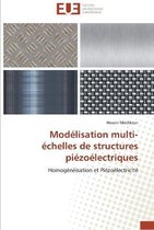 Modélisation multi-échelles de structures piézoélectriques