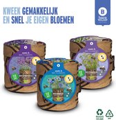 Bloemen kweekset speciaal voor bijen Lavendel Nigella en Phacelia/ duurzaam/ gerecycled/ BIO/ cadeau idee/